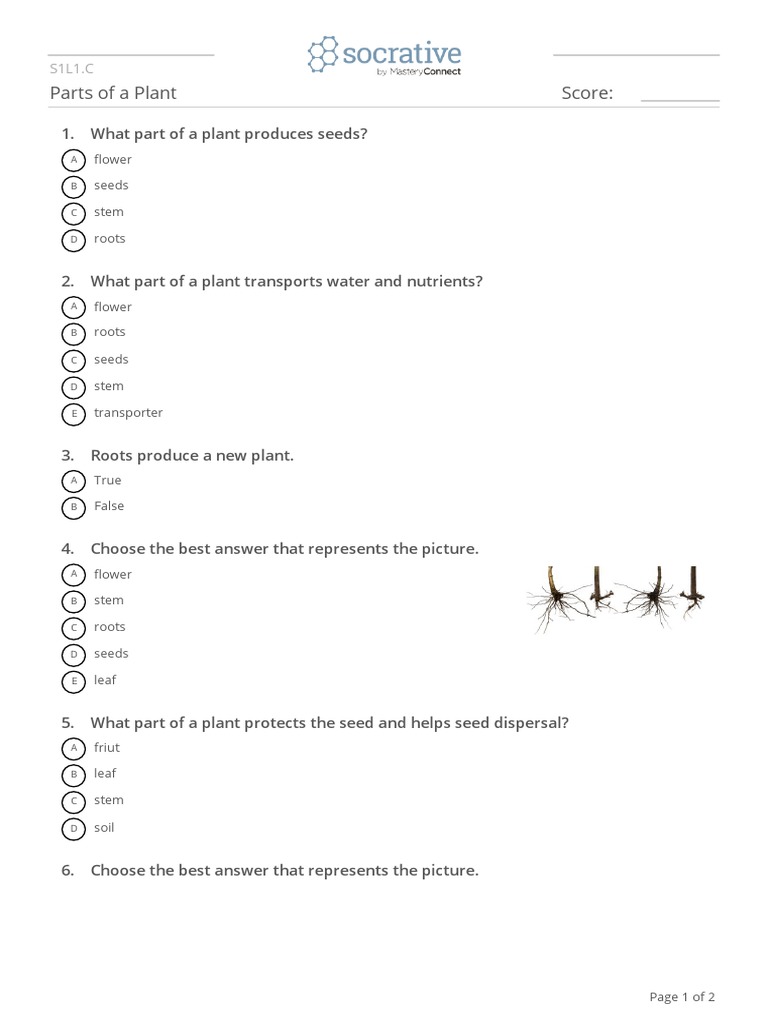 Quiz Partsofaplant | PDF