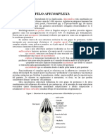 2008. Unidad 3 Apicomplexa. USAL.pdf