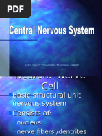 Central Nervous System