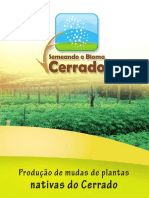 5 Producao de Mudas de Plantas Nativa Do Cerrado PDF