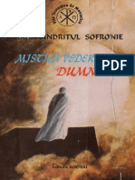 Sofronie Saharov - Mistica Vederii Lui Dumnezeu PDF