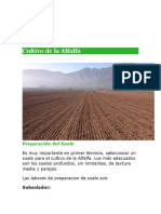 Cultivo de la Alfalfa  IMPRIMIR.docx