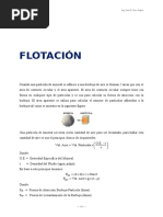 10-Flotación