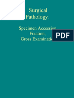 Surgical Pathology:: Specimen Accession, Fixation, Gross Examination