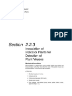 Inoculation of Indicator Plantas For Detection of Plant Viru