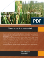 TRABAJO DE BACTERIAS.pptx