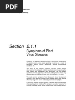 Download Symptoms of Plant  Viruses Diseases by Leydi Yudith Angarita Bautista SN3288770 doc pdf