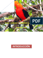 2 - Fauna Peruana Biodiversidad 2016