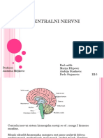 Centralni Nervni Sistem-2