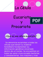 Celulas Eucariotas y Procarotas