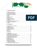 Ejemplo EMPRENDEDORES Plan de Negocios IAHA