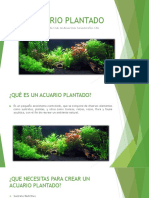 ACUARIO PLANTADO PASO A PASO Por CARLOS CRUZ