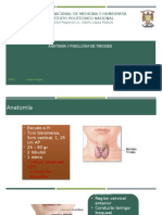 1.- Anatomía y Fisiología de Tiroides