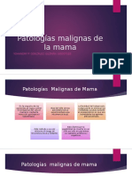 enfermedades benignas y malignas de mama.pptx