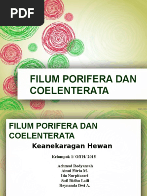 Kh Porifera And Coelenterata