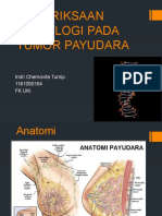 DETEKSI DINI TUMOR PAYUDARA