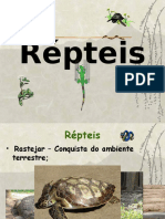 Répteis_Caracteríticas