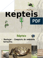 Répteis Caracteríticas