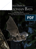 LopezBaucells 2016 Field Guide To Amazonian Bats PDF