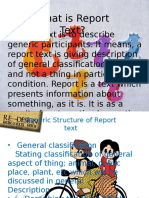 What Is Report Text?