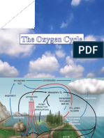 TheOxygenCycle 1