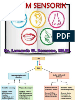 Modul 2.1 14-15 Fisiologi Sistem Sensorik