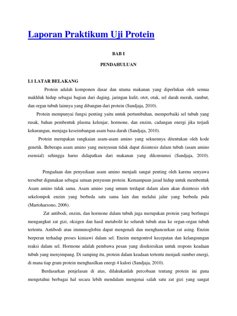 172068886 Laporan Praktikum Uji Protein Pdf