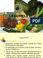 0_legume (2)