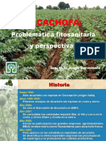 Alcachofa - Problemática Fitosanitaria y Perspectivas