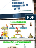 Produccion y Comercializacion de Cuyes-Aabca