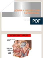 Absorcion y Secrecion Intestinal