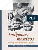 Indígenas mestizos