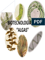 Biotecnologia Algas