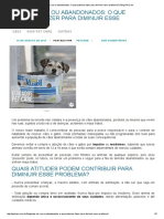 Cães de Rua Ou Abandonados_ O Que Podemos Fazer Para Diminuir Esse Problema