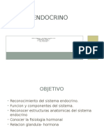 Sistema Endocrino