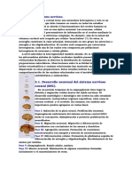 Desarrollo Del Sistema Nervioso