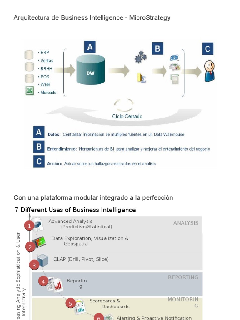 Presentación 7 Estilos BI MicroStrategy | PDF | Business Intelligence ...