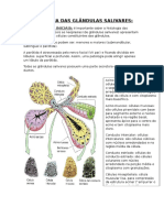 Patologia Das Glandulas Salivares 1