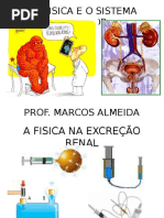 Biofisica Renal Apresentação