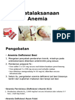 Anemia-Pengobatan