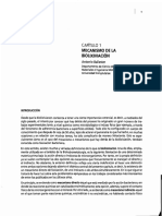Libro Valparaiso Tecnologias Biomineras.pdf