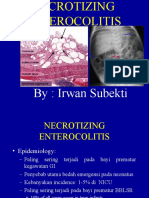 Necrotizing Enterocolitis in Premature Infants