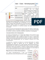 Clase 1 Sec 2-Hematopoyesis-Mielograma