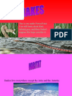 Snake Powerpoint