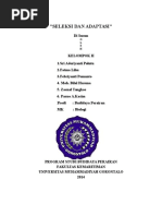 Download Makalah Adaptasi dan Seleksi alam by AdhePolutu SN329057277 doc pdf