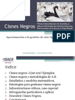 Cisnes Negros