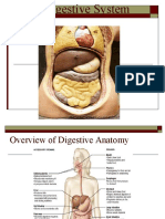 Digestive 09