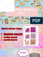 Skeletal Muscle Presentation