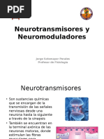 Download 6 Neurotransmisores y Neuromoduladores  by Job Alan SN329100039 doc pdf