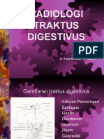 Traktus - Digestivus